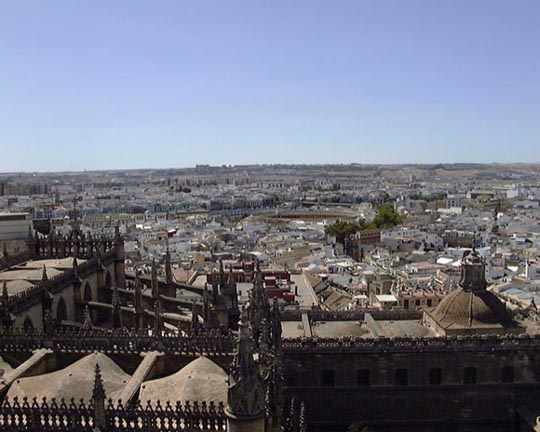 cathedrale